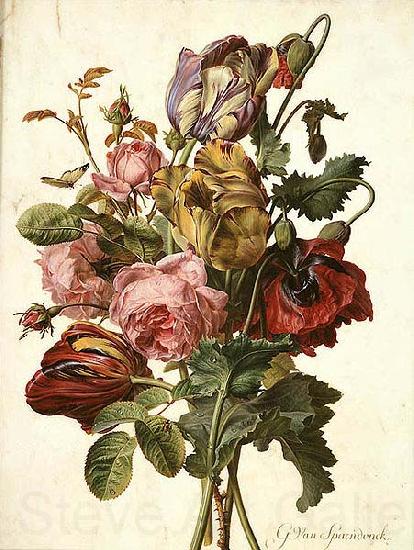Gerard van Spaendonck Bouquet of Tulips, Roses and an Opium Poppy, with a Pale Clouded Yellow Butterfly, a Red Longhorn Beetle and a Sevenspotted Ladybug France oil painting art